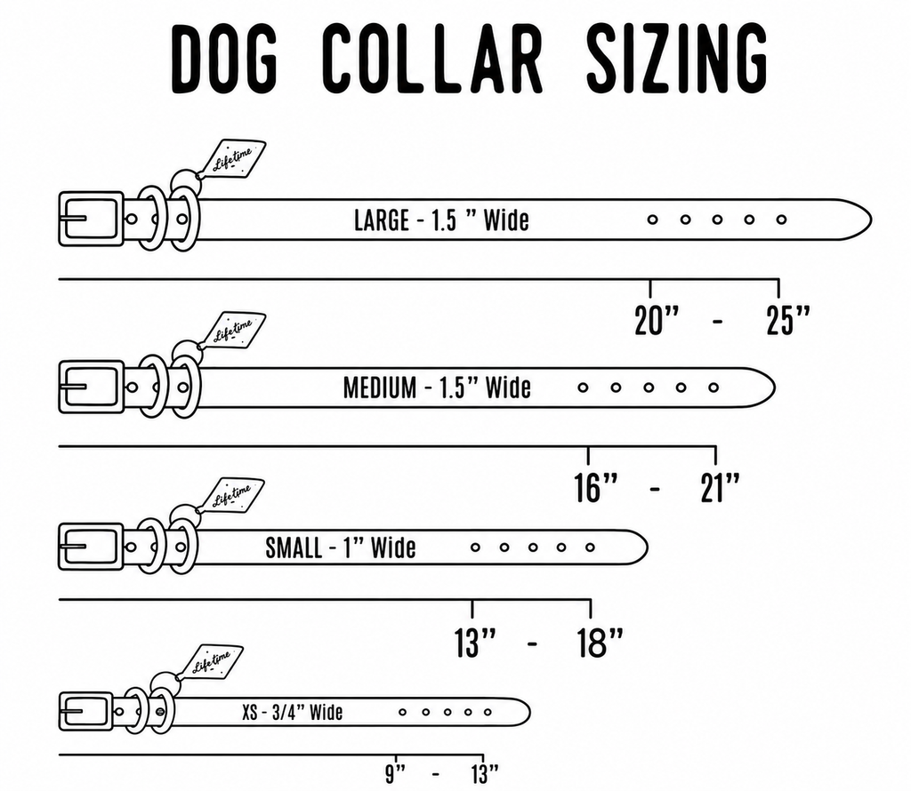 Leather Dog Collar - Designer