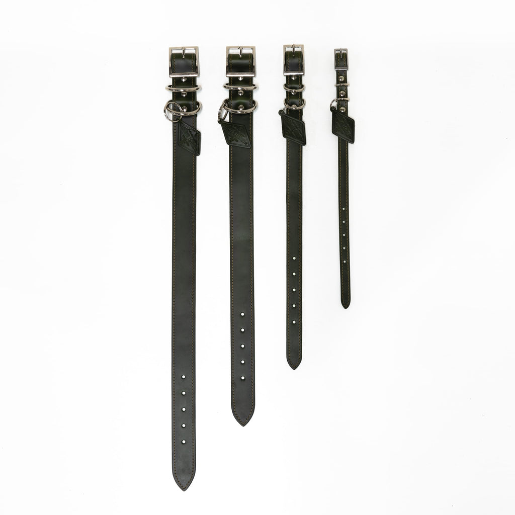 Leather Dog Collar - Designer